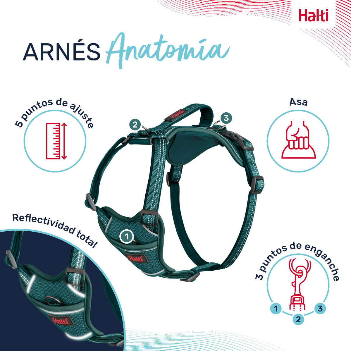 Dog Harness Company of Animals Turquoise L 42-65 cm-4