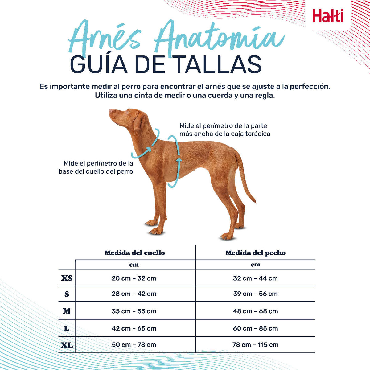 Dog Harness Company of Animals Turquoise L 42-65 cm-3