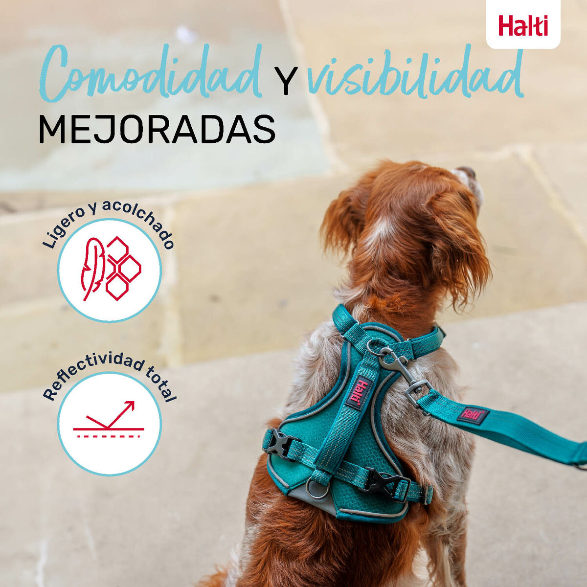 Dog Harness Company of Animals Turquoise L 42-65 cm-2