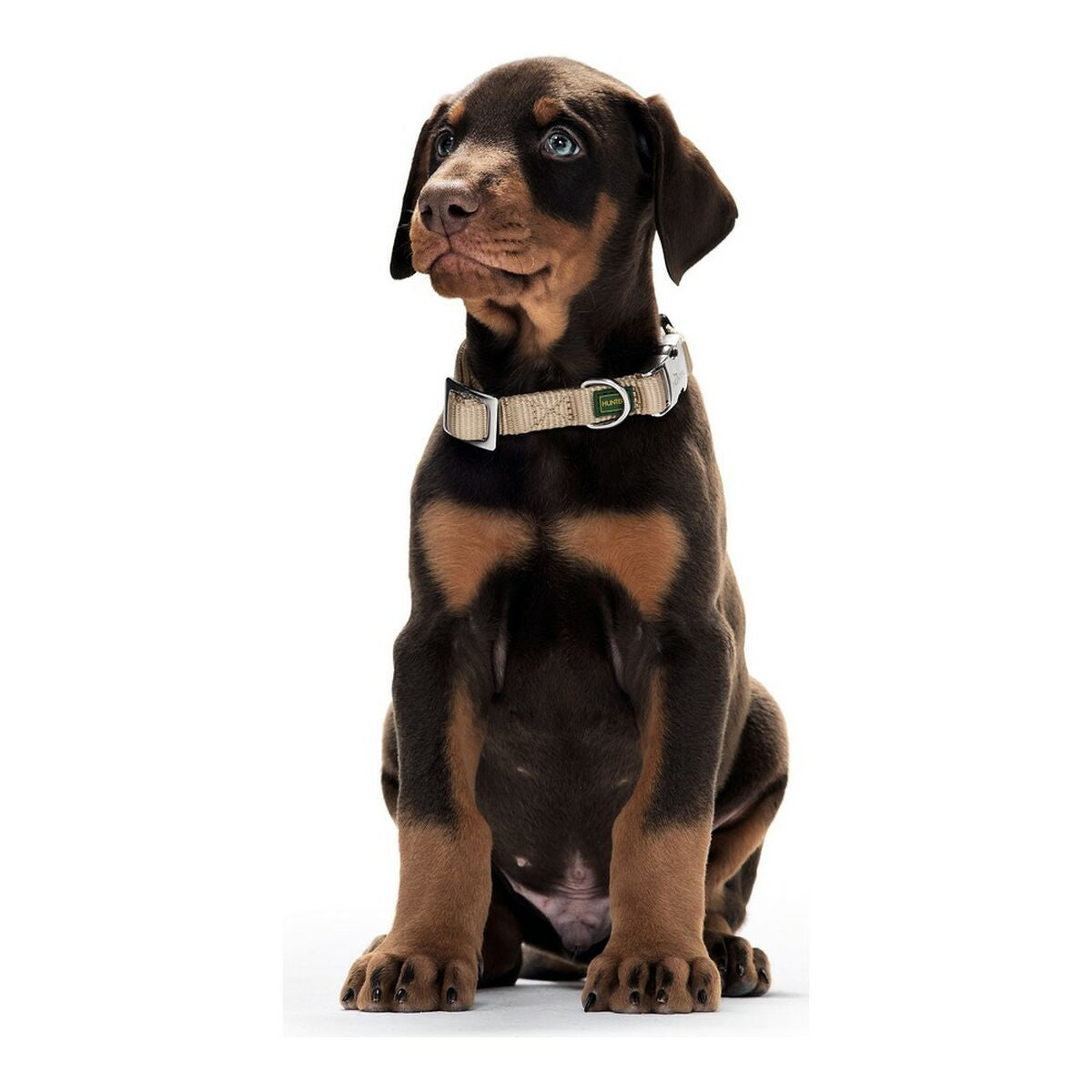 Dog collar Hunter Alu-Strong Grey Size S (30-45 cm)-3
