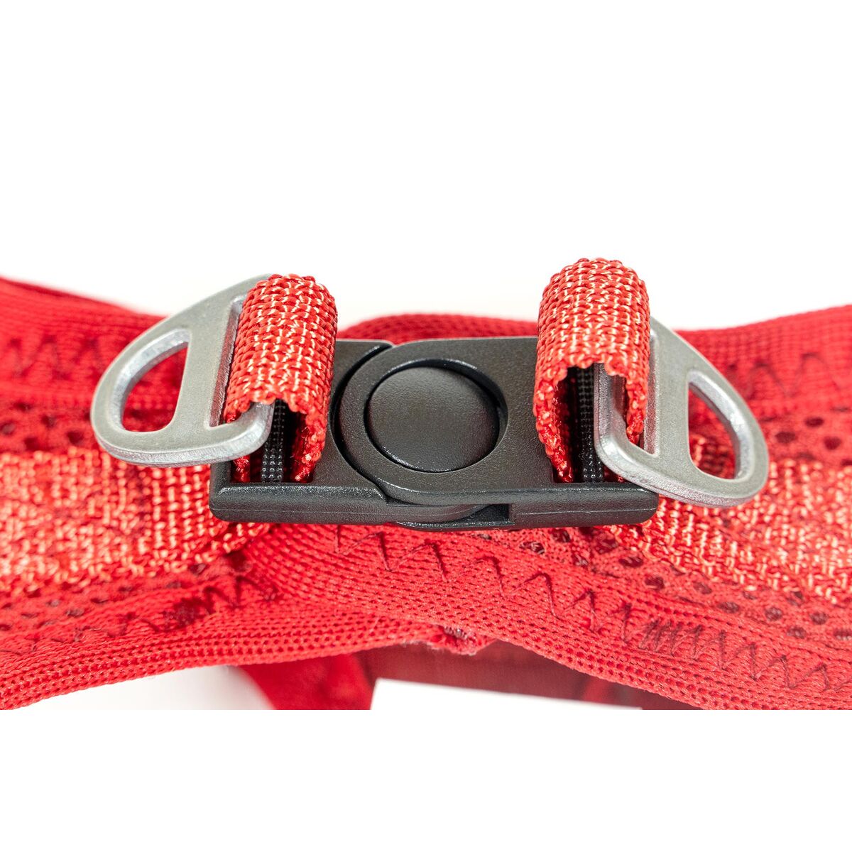 Dog Harness Gloria Trek Star 32,8-35,4 cm 45-47 cm Red M-5