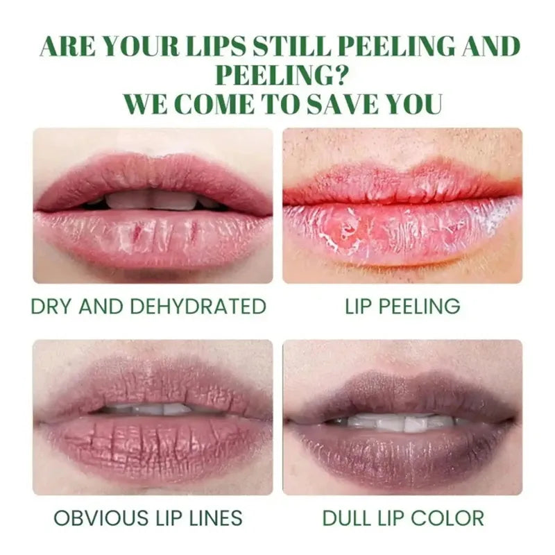Korean Lip Balm-2