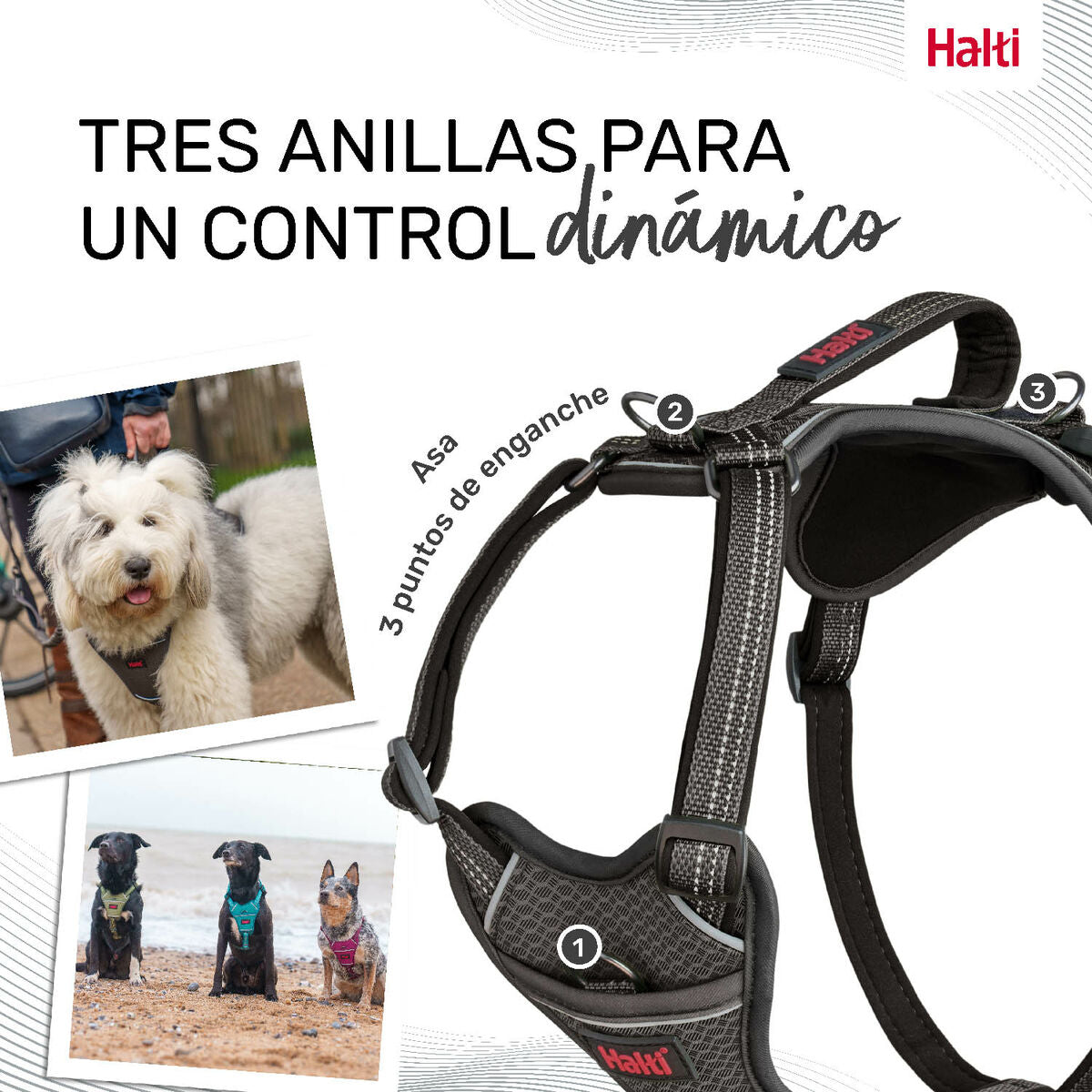 Dog Harness Company of Animals Grey S 28-42 cm-4