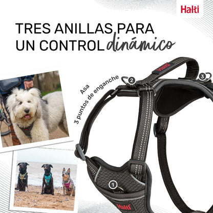 Dog Harness Company of Animals Grey S 28-42 cm-4