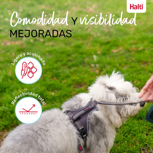 Dog Harness Company of Animals Grey S 28-42 cm-1