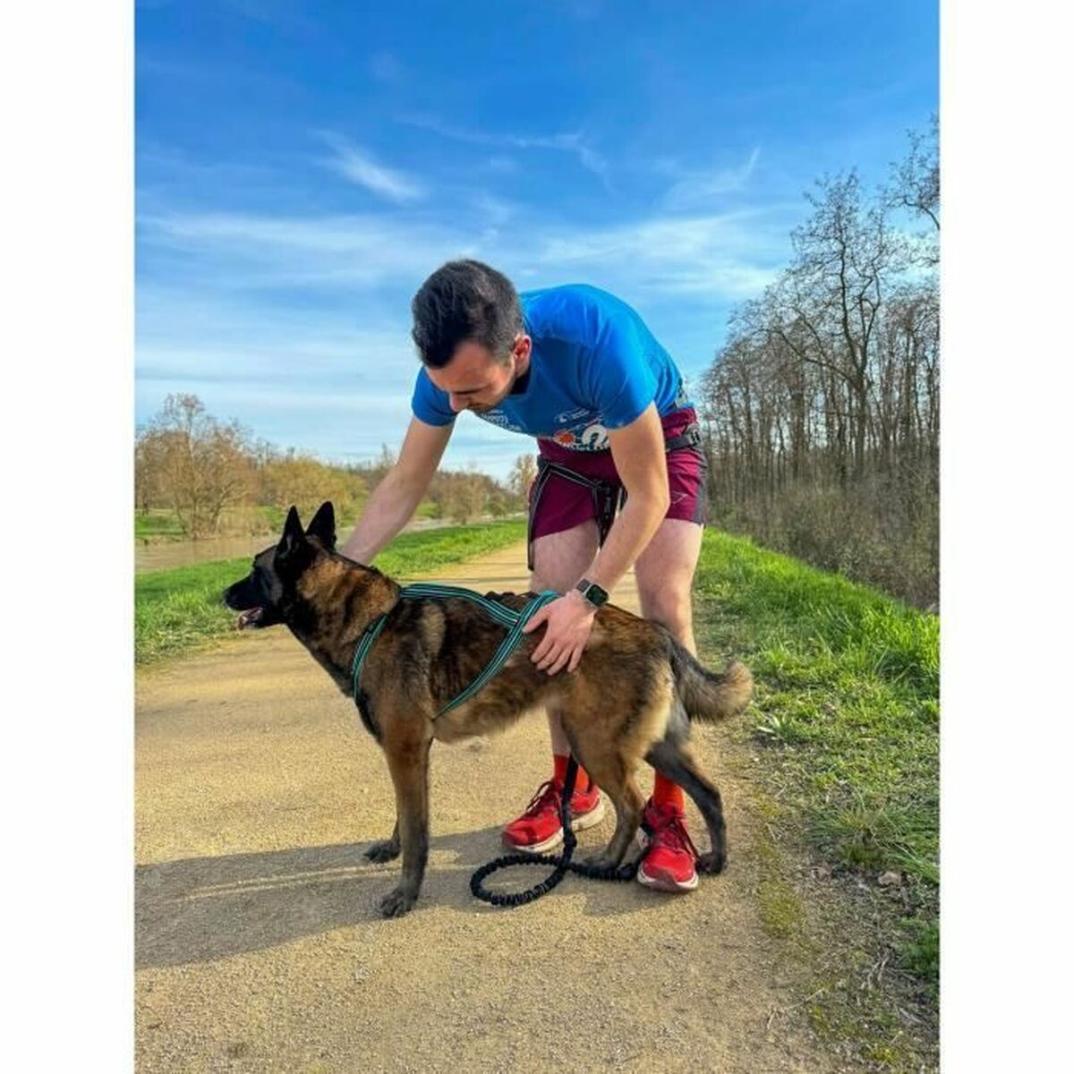 Dog Harness Olympia XL-3