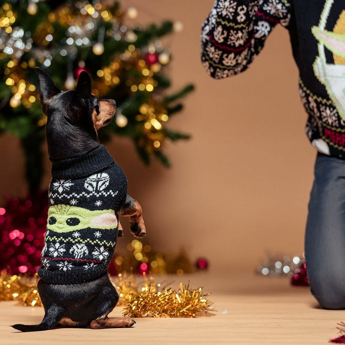 Dog Jumper The Mandalorian-9