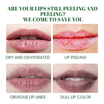 Korean Lip Balm-2